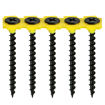 Picture of 32mm Collated Drywall Screws (Box of 1,000)