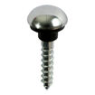 Picture of 4.0mm x 40mm PZ2 Chrome Mirror Screws