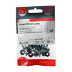 Picture of 4.0mm x 30mm PZ2 Chrome Mirror Screws