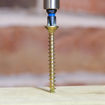 Picture of C2 4.0mm x 30mm PZ2 Woodscrews