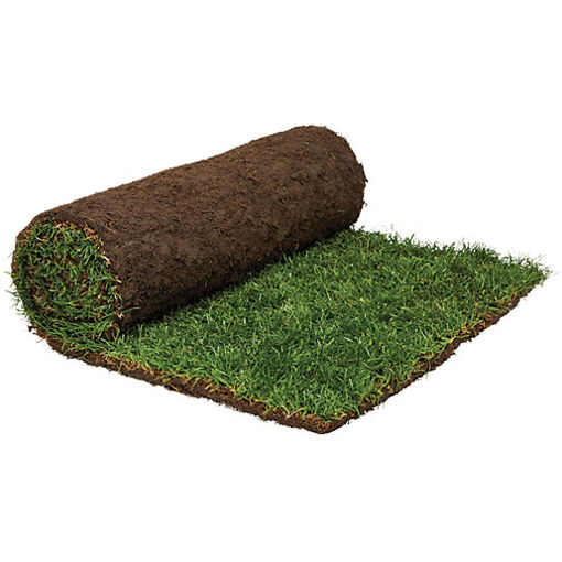 Picture of Natural Lawn Turf