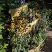 Picture of Marberry Corner Cascade Planter