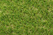 Picture of Valour Plus 30mm