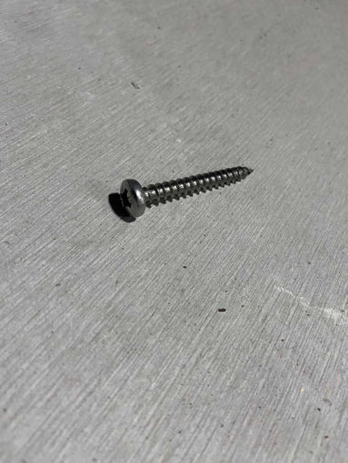 Picture of LBS Z Stone Screws & Plugs