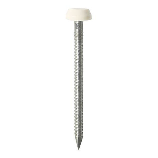 Picture of 25mm White Polymer Headed Pins