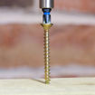 Picture of C2 5.0mm x 70mm PZ2 Woodscrews