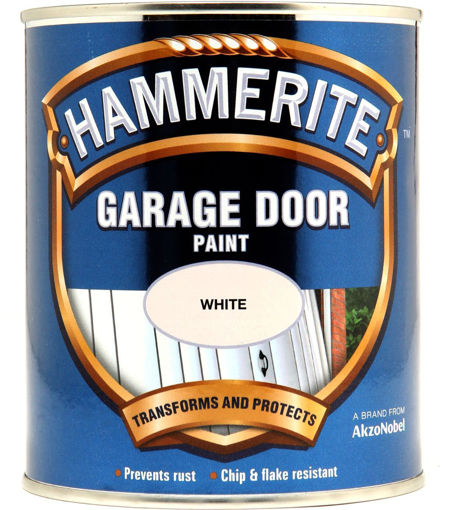 Picture of Hammerite Garage Door Paint