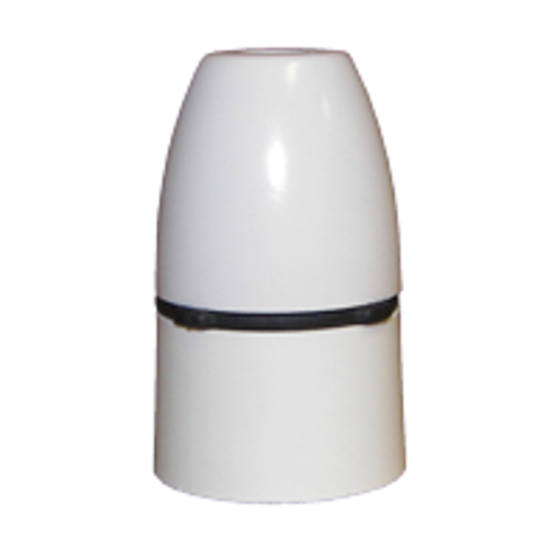 Picture of White Unswitched Lampholder