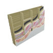 Picture of Celotex TB4000 40mm Insulation Board 1200mm x 2400mm
