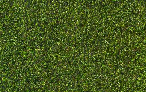 Picture of Privilege Artificial Grass